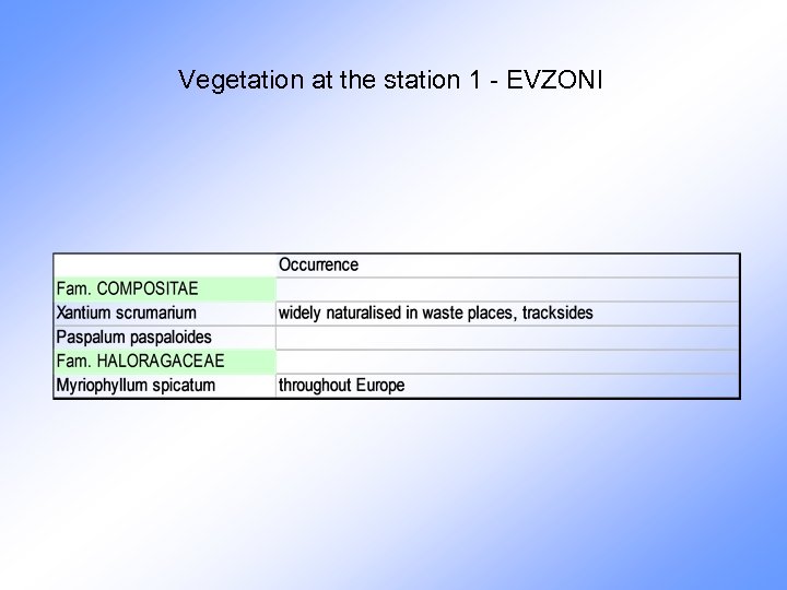 Vegetation at the station 1 - EVZONI 