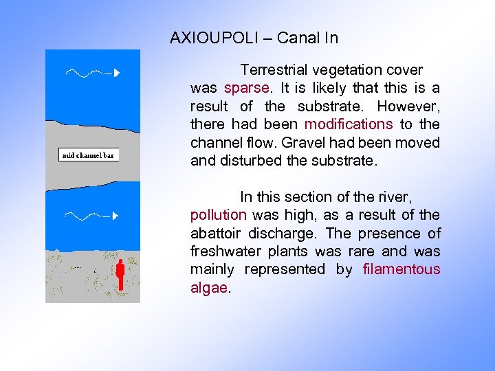 AXIOUPOLI – Canal In Terrestrial vegetation cover was sparse. It is likely that this