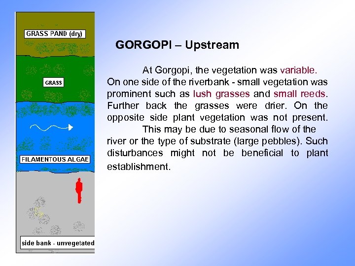 GORGOPI – Upstream At Gorgopi, the vegetation was variable. On one side of the