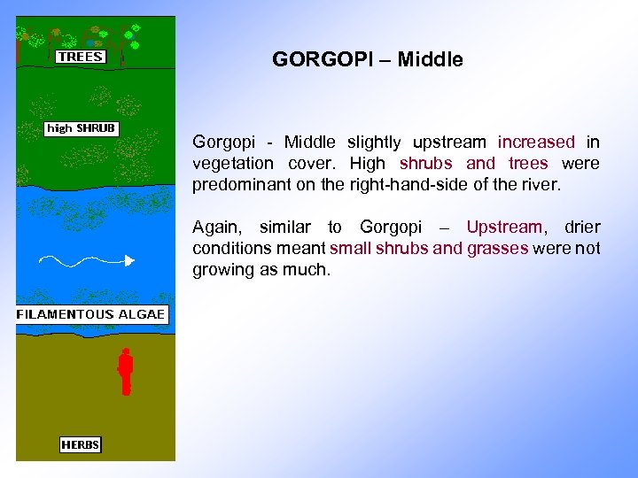 GORGOPI – Middle Gorgopi - Middle slightly upstream increased in vegetation cover. High shrubs