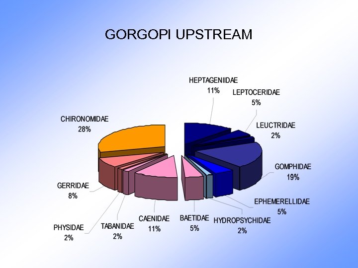 GORGOPI UPSTREAM 