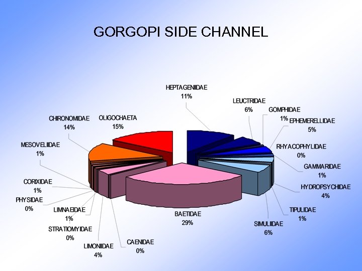 GORGOPI SIDE CHANNEL 