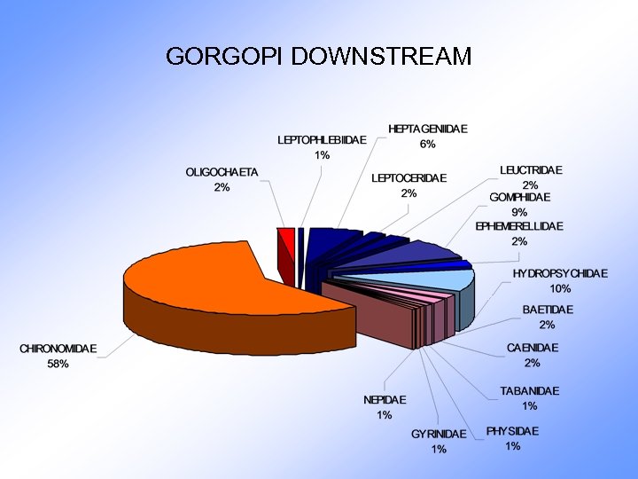 GORGOPI DOWNSTREAM 