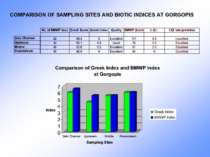 COMPARISON OF SAMPLING SITES AND BIOTIC INDICES AT GORGOPIS 