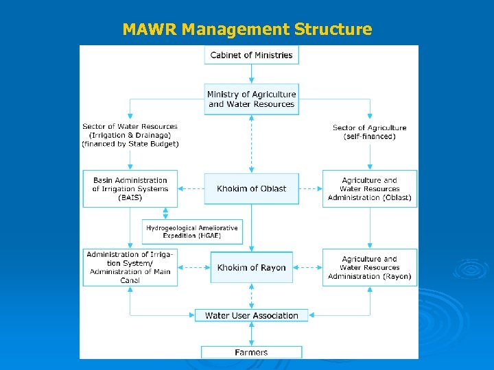 MAWR Management Structure 