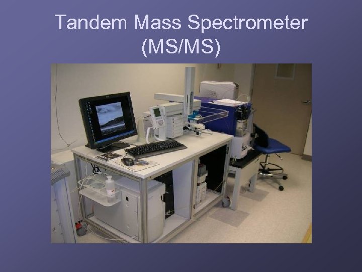 Tandem Mass Spectrometer (MS/MS) 