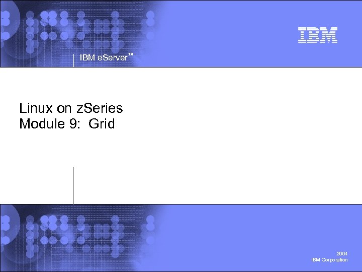 IBM e. Server™ Linux on z. Series Module 9: Grid 2004 IBM Corporation 