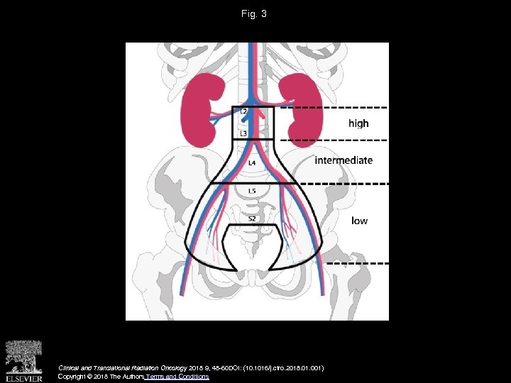 Fig. 3 Clinical and Translational Radiation Oncology 2018 9, 48 -60 DOI: (10. 1016/j.