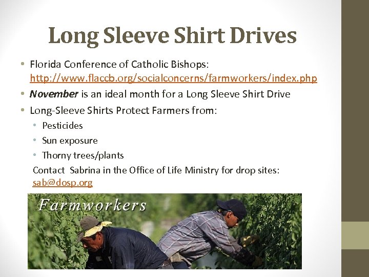 Long Sleeve Shirt Drives • Florida Conference of Catholic Bishops: http: //www. flaccb. org/socialconcerns/farmworkers/index.