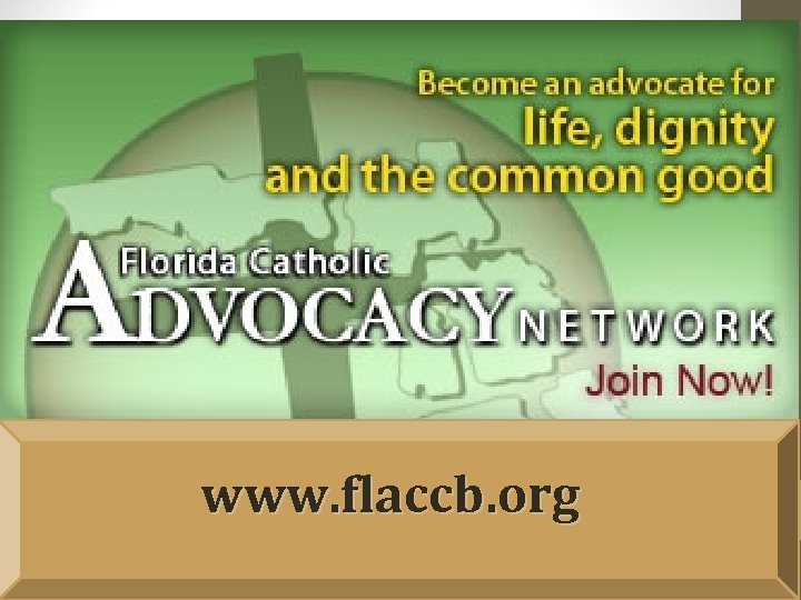 www. flaccb. org 