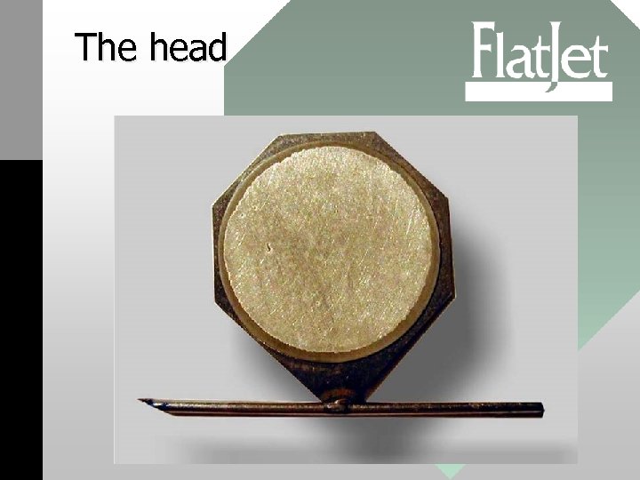 The head 