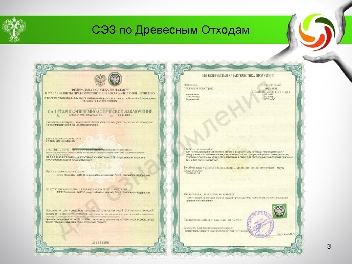 СЭЗ по Древесным Отходам 3 