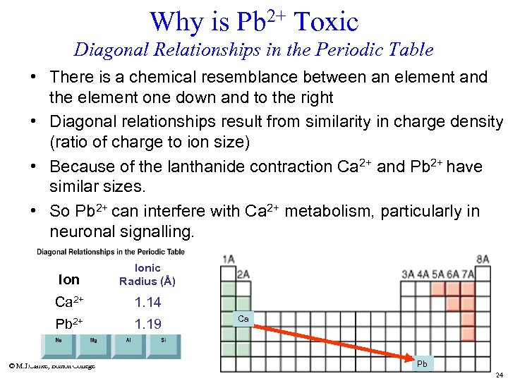 Why is Pb 2+ Toxic Diagonal Relationships in the Periodic Table • There is