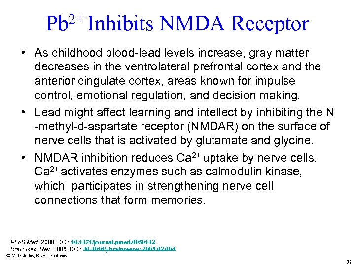 2+ Inhibits NMDA Receptor Pb • As childhood blood-lead levels increase, gray matter decreases