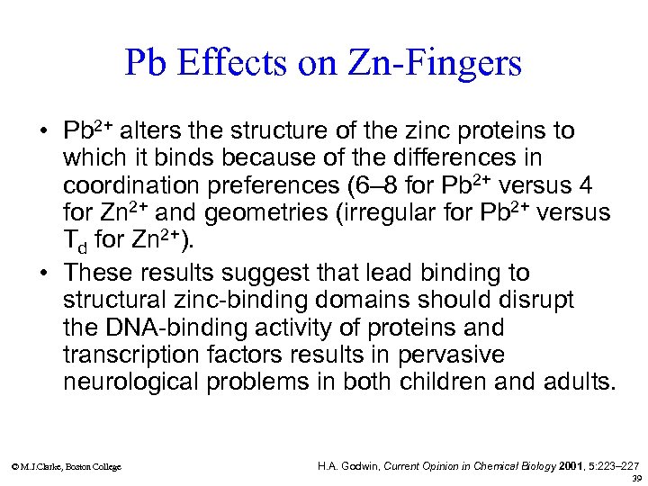 Pb Effects on Zn-Fingers • Pb 2+ alters the structure of the zinc proteins