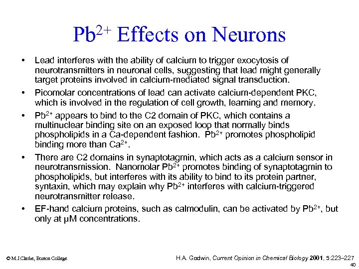 Pb 2+ Effects on Neurons • • • Lead interferes with the ability of