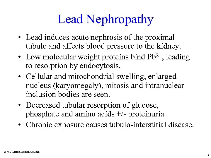 Lead Nephropathy • Lead induces acute nephrosis of the proximal tubule and affects blood