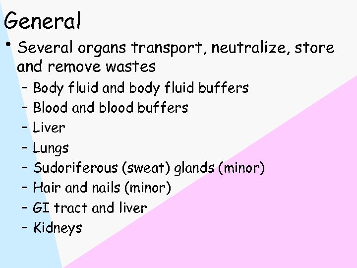 General • Several organs transport, neutralize, store and remove wastes – – – –