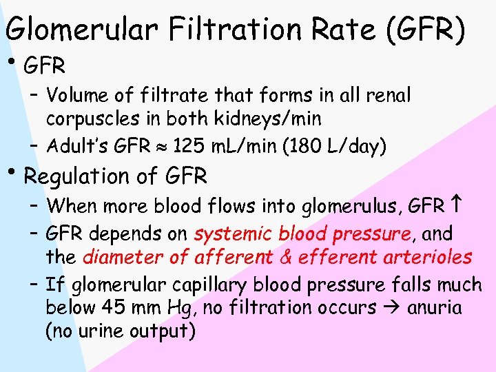 Glomerular Filtration Rate (GFR) • GFR – Volume of filtrate that forms in all
