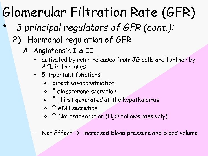 Glomerular Filtration Rate (GFR) • 3 principal regulators of GFR (cont. ): 2) Hormonal