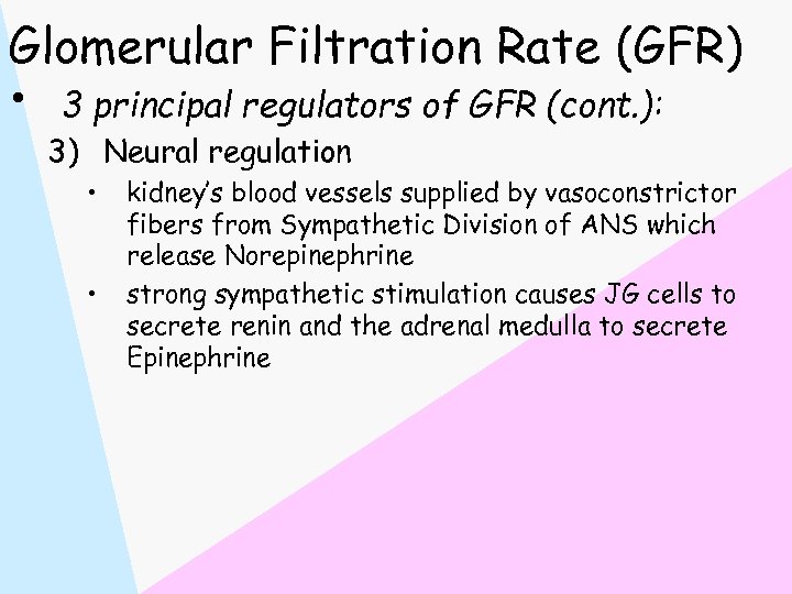 Glomerular Filtration Rate (GFR) • 3 principal regulators of GFR (cont. ): 3) Neural