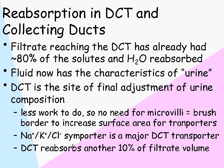 Reabsorption in DCT and Collecting Ducts • Filtrate reaching the DCT has already had