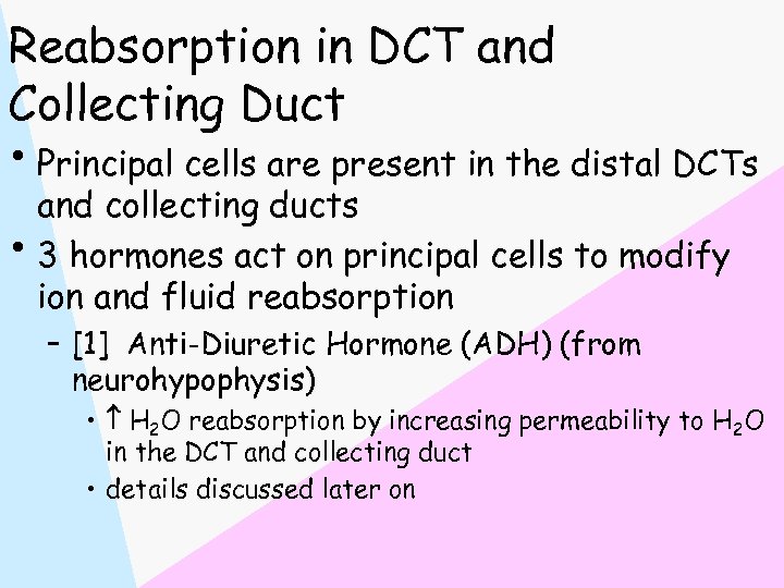 Reabsorption in DCT and Collecting Duct • Principal cells are present in the distal