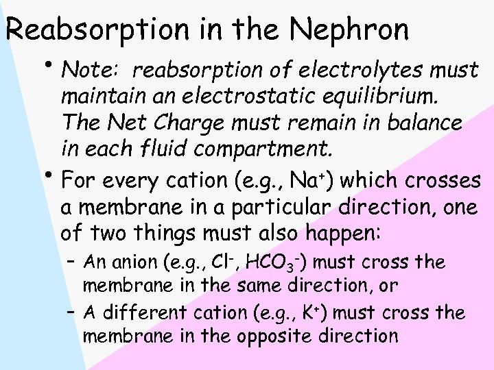 Reabsorption in the Nephron • Note: reabsorption of electrolytes must maintain an electrostatic equilibrium.