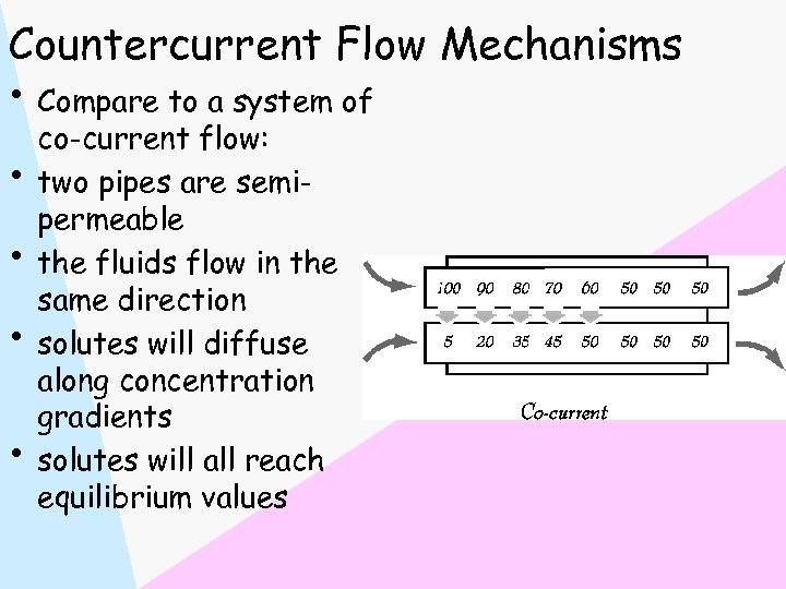 Countercurrent Flow Mechanisms • Compare to a system of • • co-current flow: two