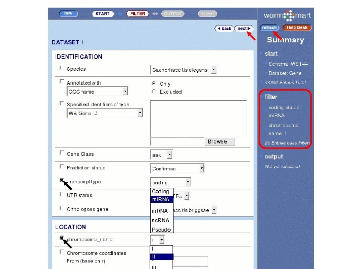 Coding mi. RNA mi RNA m. RNA nc. RNA Pseudo I II II 