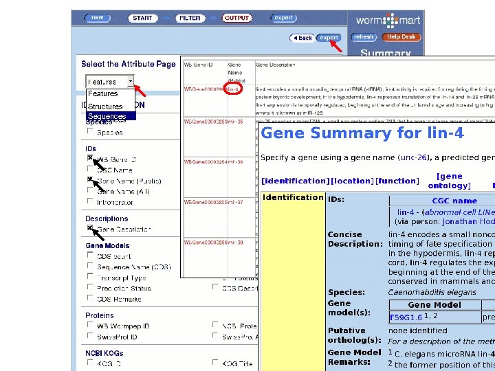 Features Structures Sequences 