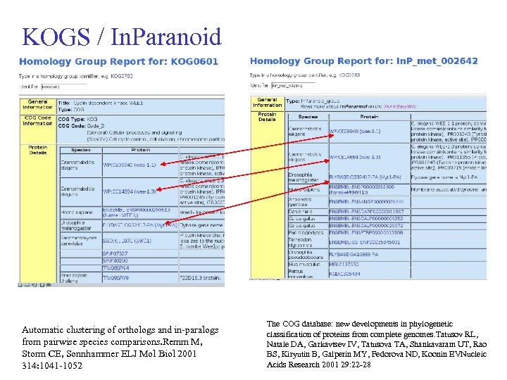 KOGS / In. Paranoid Automatic clustering of orthologs and in-paralogs from pairwise species comparisons.
