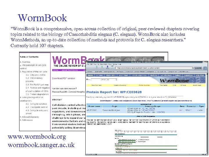 Worm. Book “Worm. Book is a comprehensive, open-access collection of original, peer-reviewed chapters covering