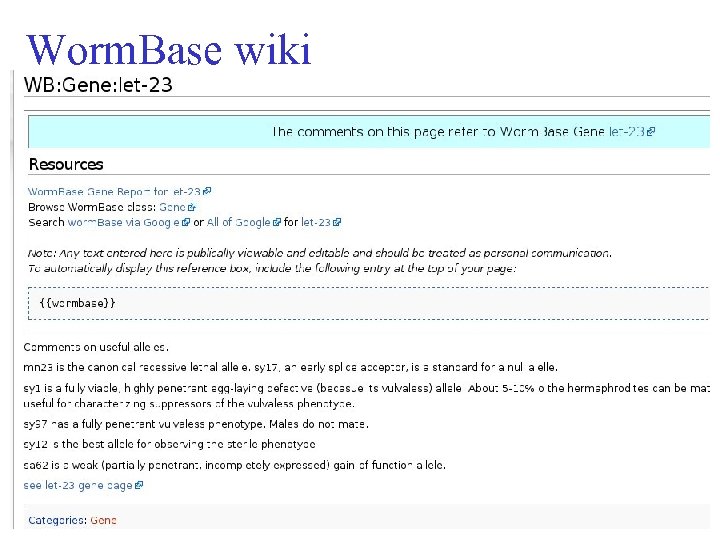 Worm. Base wiki 