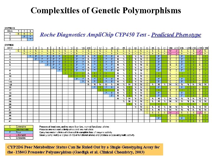 Complexities of Genetic Polymorphisms Roche Diagnostics Ampli. Chip CYP 450 Test - Predicted Phenotype