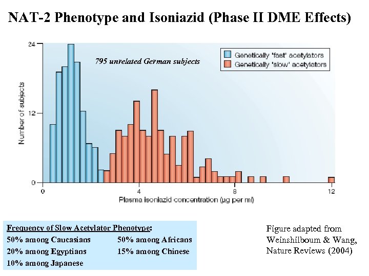 NAT-2 Phenotype and Isoniazid (Phase II DME Effects) 795 unrelated German subjects Frequency of