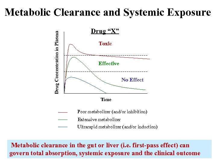 Drug Concentration in Plasma Metabolic Clearance and Systemic Exposure Drug “X” Toxic Effective No