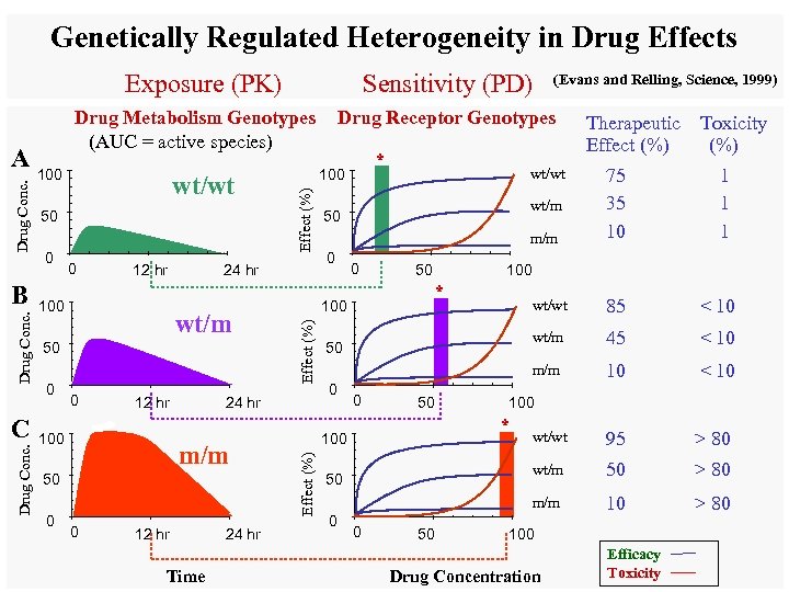 Genetically Regulated Heterogeneity in Drug Effects Exposure (PK) Drug Conc. C wt/wt 50 0