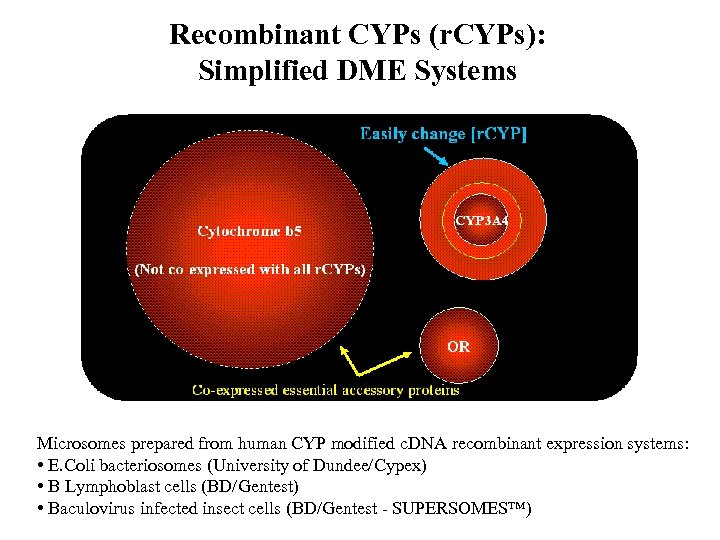 Recombinant CYPs (r. CYPs): Simplified DME Systems Microsomes prepared from human CYP modified c.