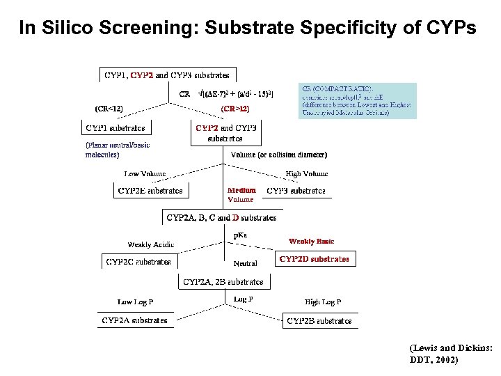 In Silico Screening: Substrate Specificity of CYPs (Lewis and Dickins: DDT, 2002) 