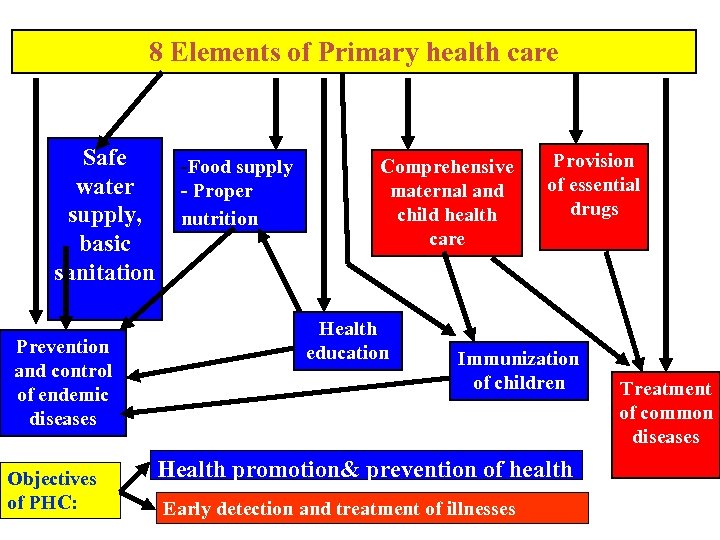 primary-health-care-presented-by-dr-amira-yahia