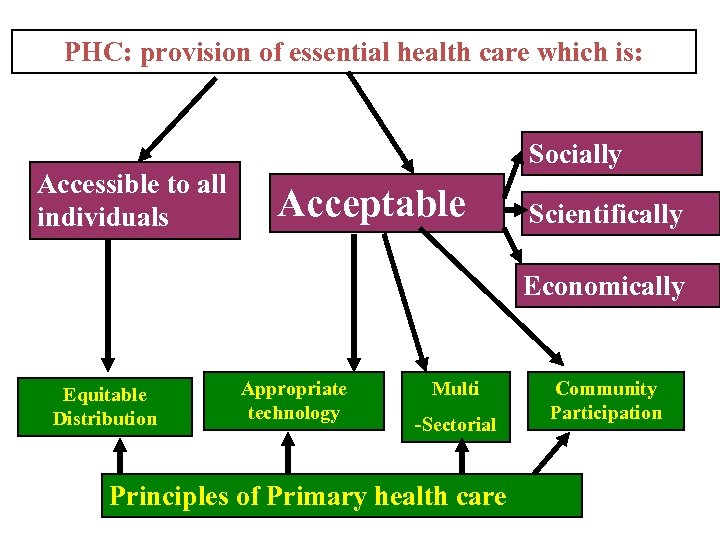 PHC: provision of essential health care which is: Accessible to all individuals Socially Acceptable