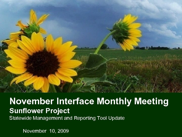 November Interface Monthly Meeting Sunflower Project Statewide Management and Reporting Tool Update November 10,