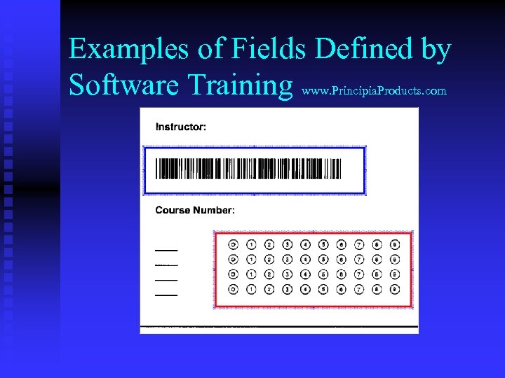 Examples of Fields Defined by Software Training www. Principia. Products. com 