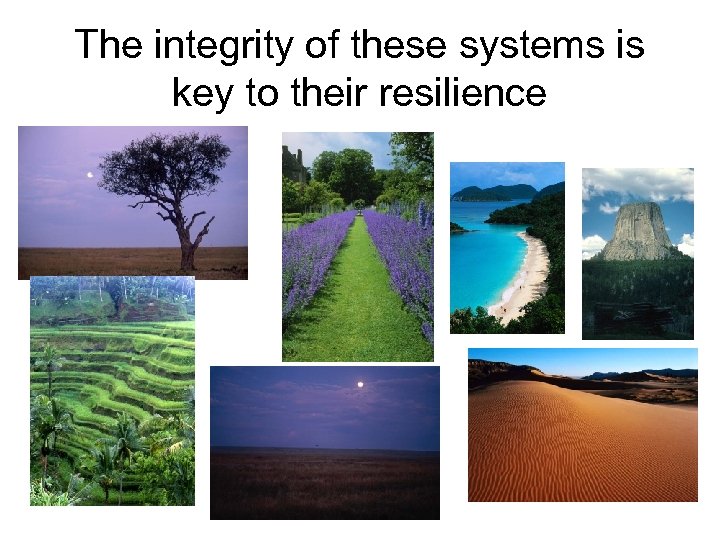 The integrity of these systems is key to their resilience 