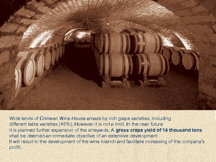 Wide lands of Crimean Wine House amaze by rich grape varieties, including different table