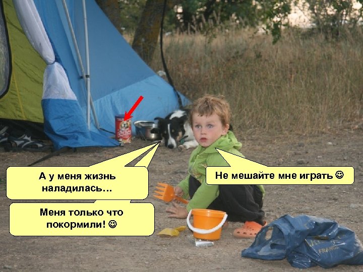 А у меня жизнь наладилась… Меня только что покормили! Не мешайте мне играть 