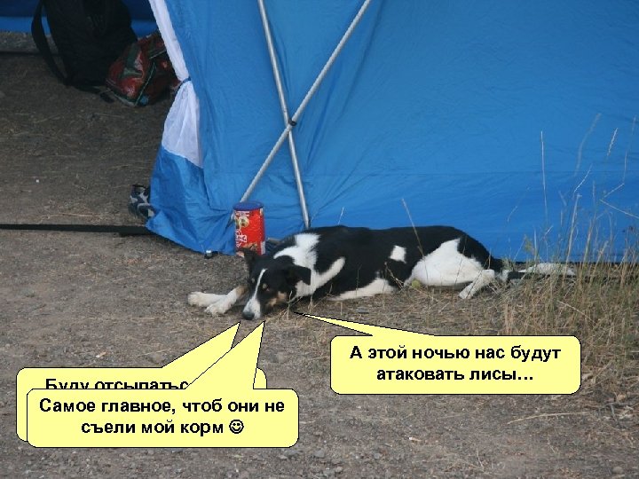 Буду отсыпаться, т. к. Самое главное, чтоб они ночью мне надо охранять не съели