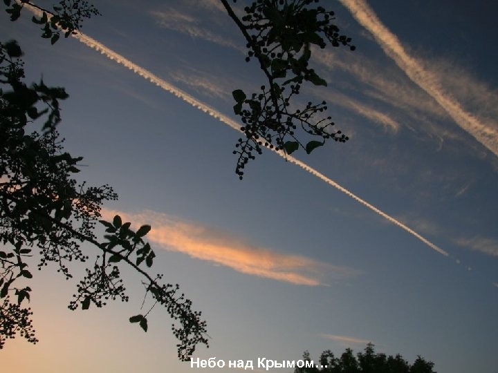 Небо над Крымом… 