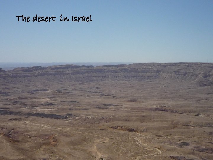 The desert in Israel 